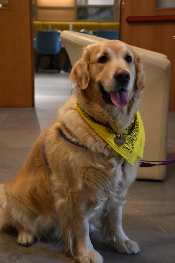 Suez 3* Lido di Jesolo